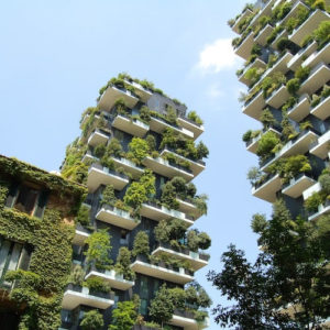 Buildings green trees